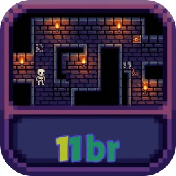 11br