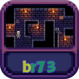 br73